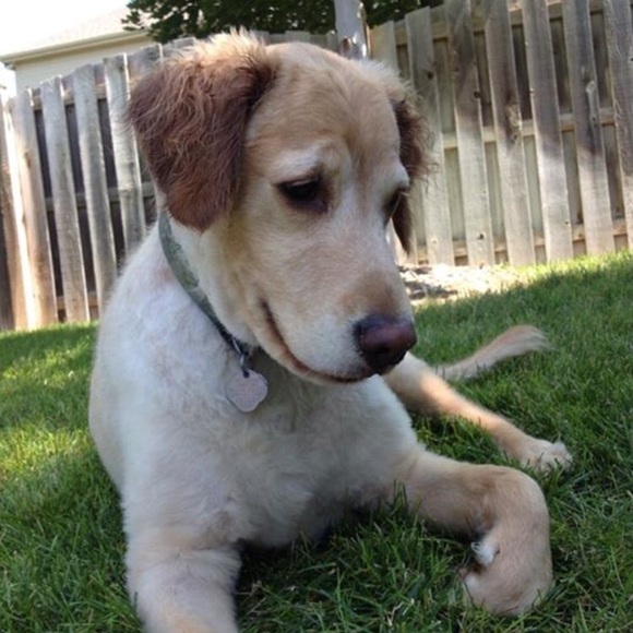 Meet your Posher, Katherine - Picture 1 of 1